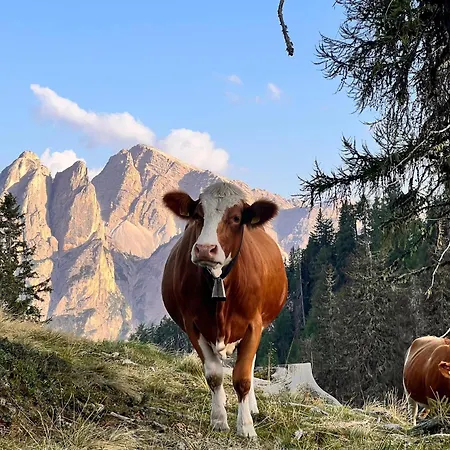 Sottla - Your Mountain Farm stay Olang