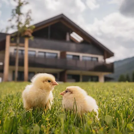 Sottla - Your Mountain Farm stay Olang